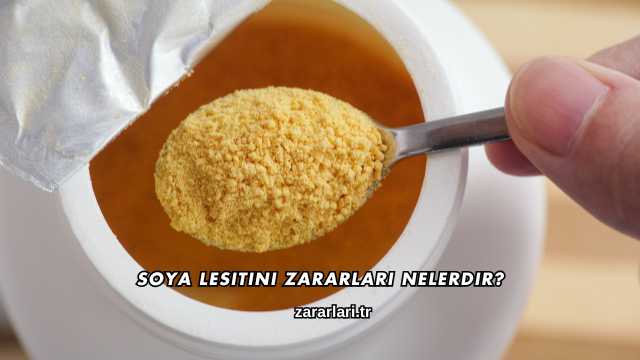 Soya Lesitini Zararları Nelerdir?