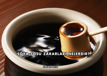 Soya Sosu Zararları Nelerdir?
