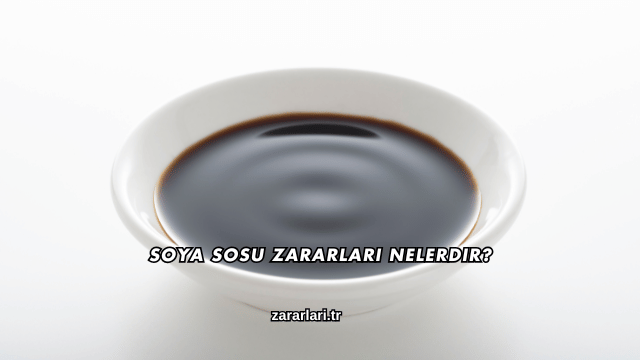 Soya Sosu Zararları Nelerdir?