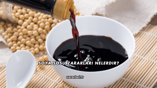 Soya Sosu Zararları Nelerdir?