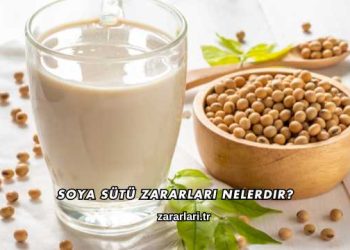 Soya Sütü Zararları Nelerdir?