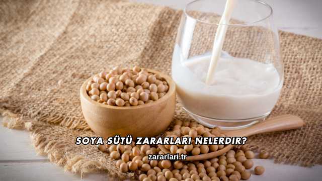 Soya Sütü Zararları Nelerdir?