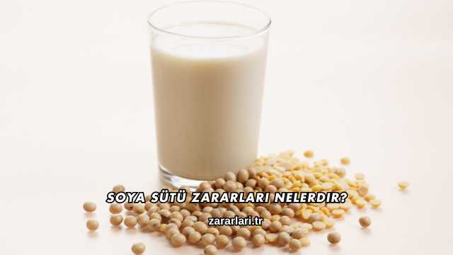 Soya Sütü Zararları Nelerdir?