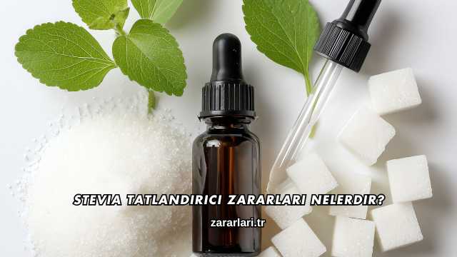 Stevia Tatlandırıcı Zararları Nelerdir?