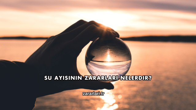 Su Ayısının Zararları Nelerdir?