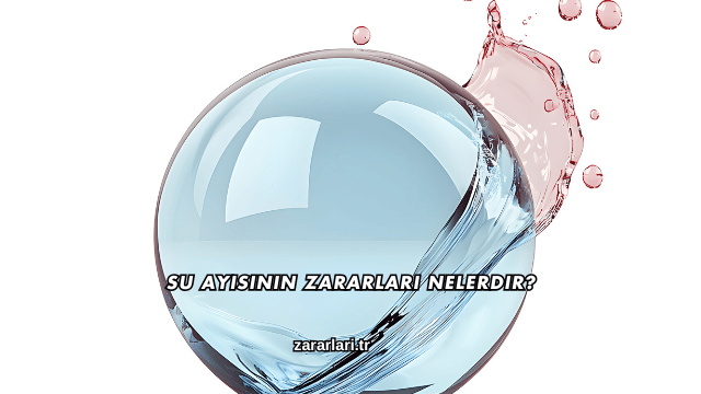 Su Ayısının Zararları Nelerdir?