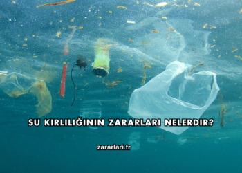 Su Kirliliğinin Zararları Nelerdir?