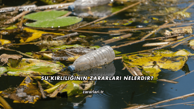 Su Kirliliğinin Zararları Nelerdir?
