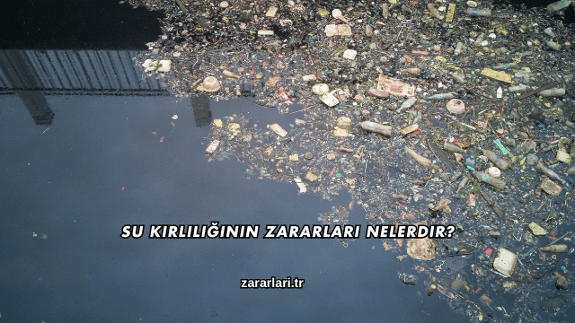 Su Kirliliğinin Zararları Nelerdir?