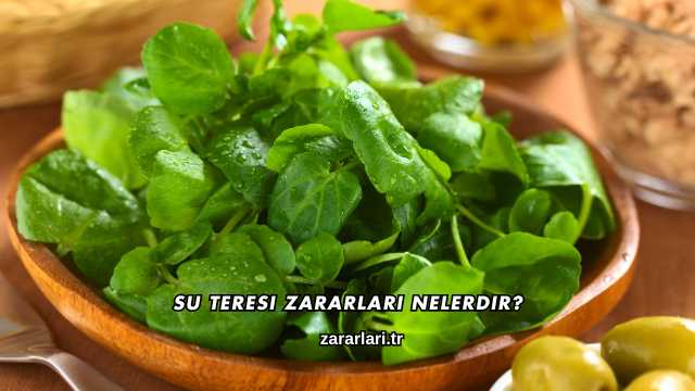 Su Teresi Zararları Nelerdir?