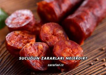 Sucuğun Zararları Nelerdir