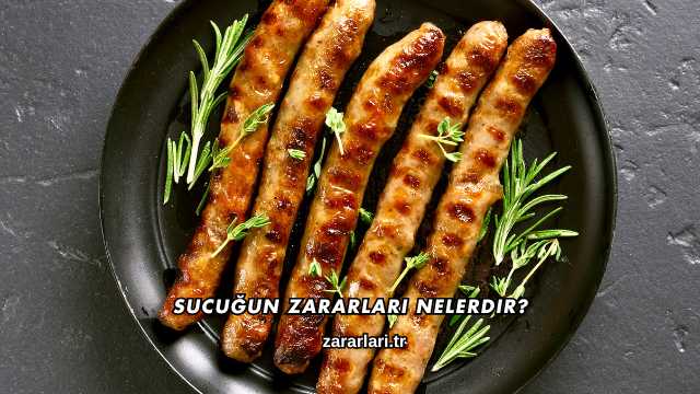 Sucuğun Zararları Nelerdir