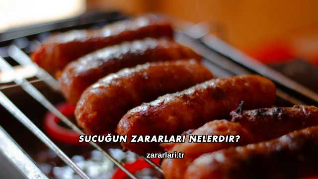 Sucuğun Zararları Nelerdir