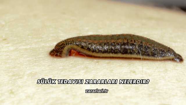 Sülük Tedavisi Zararları Nelerdir?