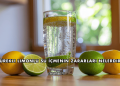 Sürekli Limonlu Su İçmenin Zararları Nelerdir?