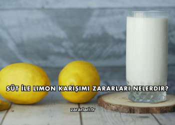 Süt İle Limon Karışımı Zararları Nelerdir?
