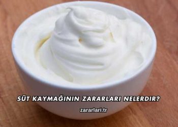 Süt Kaymağının Zararları Nelerdir?
