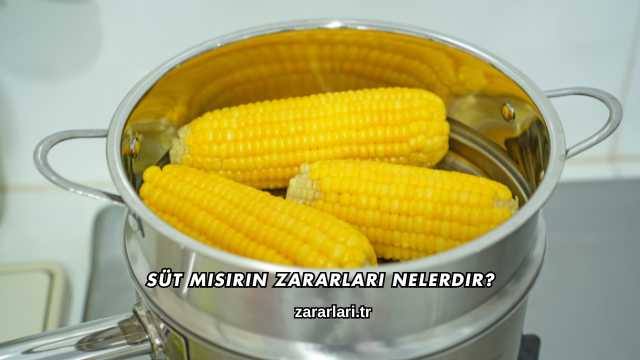 Süt Mısırın Zararları Nelerdir?