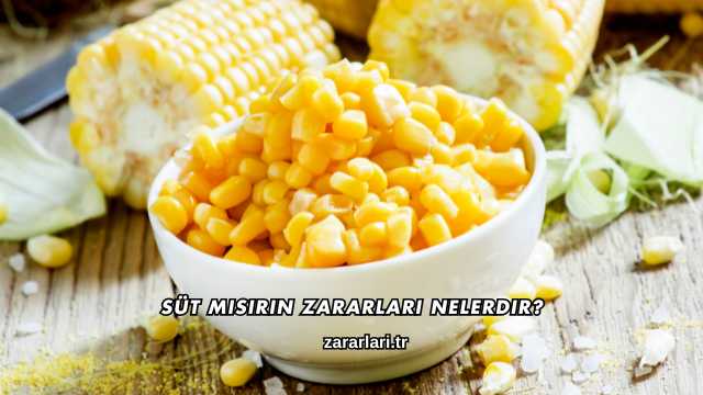 Süt Mısırın Zararları Nelerdir?