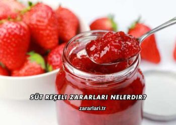 Süt Reçeli Zararları Nelerdir?