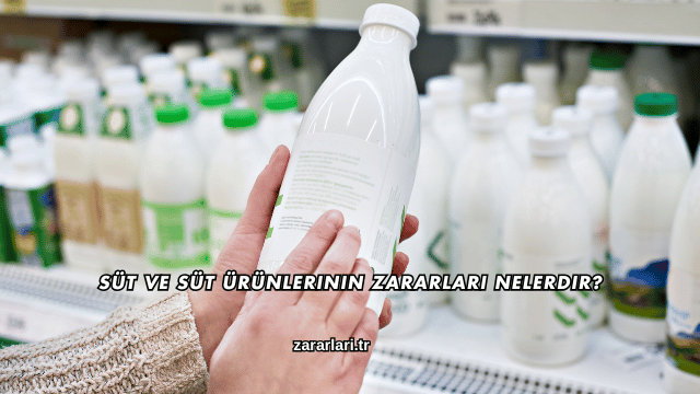 Süt ve Süt Ürünlerinin Zararları Nelerdir?