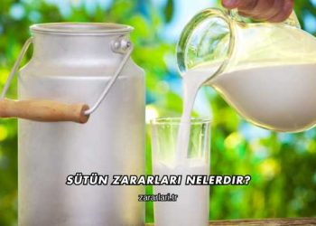 Sütün Zararları Nelerdir?
