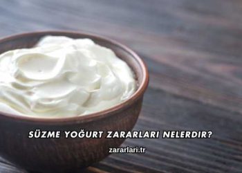 Süzme Yoğurt Zararları Nelerdir?