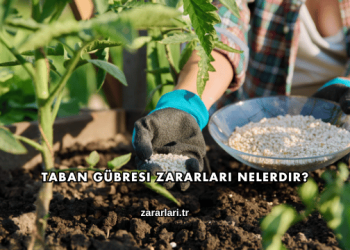Taban Gübresi Zararları Nelerdir?