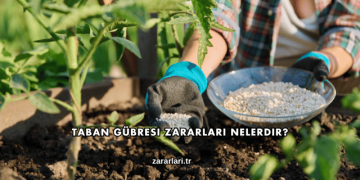 Taban Gübresi Zararları Nelerdir?