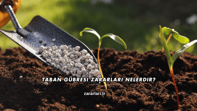 Taban Gübresi Zararları Nelerdir?
