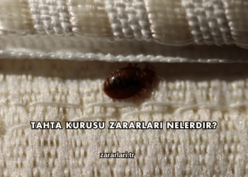 Tahta Kurusu Zararları Nelerdir?