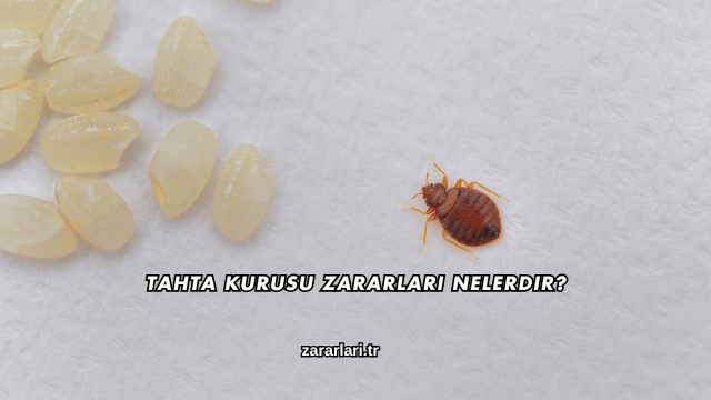 Tahta Kurusu Zararları Nelerdir?