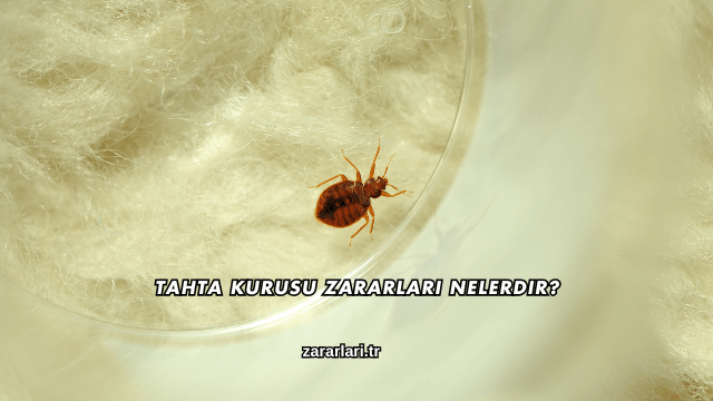 Tahta Kurusu Zararları Nelerdir?