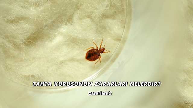 Tahta Kurusunun Zararları Nelerdir?