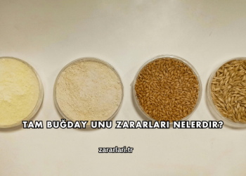 Tam Buğday Unu Zararları Nelerdir?