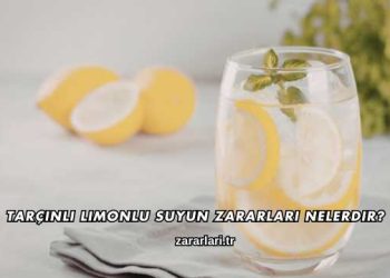 Tarçınlı Limonlu Suyun Zararları Nelerdir?