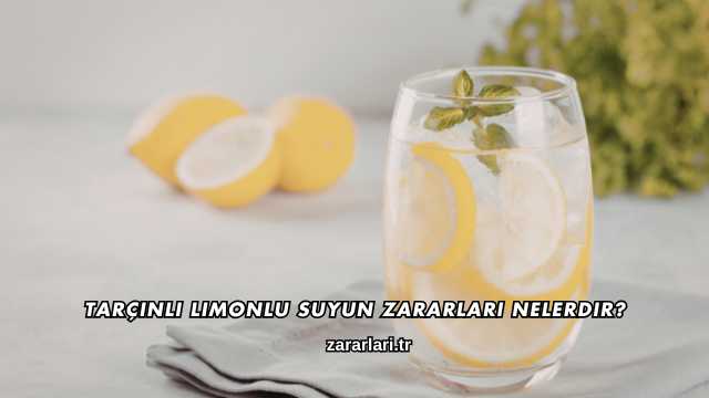 Tarçınlı Limonlu Suyun Zararları Nelerdir?