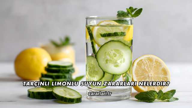Tarçınlı Limonlu Suyun Zararları Nelerdir?