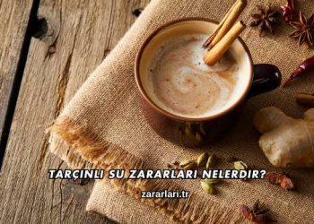 Tarçınlı Su Zararları Nelerdir?