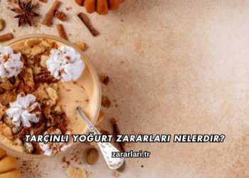 Tarçınlı Yoğurt Zararları Nelerdir?
