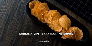 Tarhana Cipsi Zararları Nelerdir?