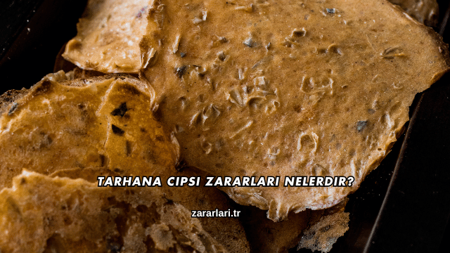 Tarhana Cipsi Zararları Nelerdir?
