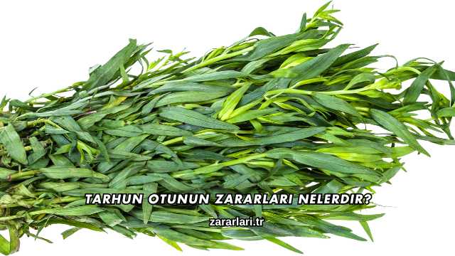 Tarhun Otunun Zararları Nelerdir?