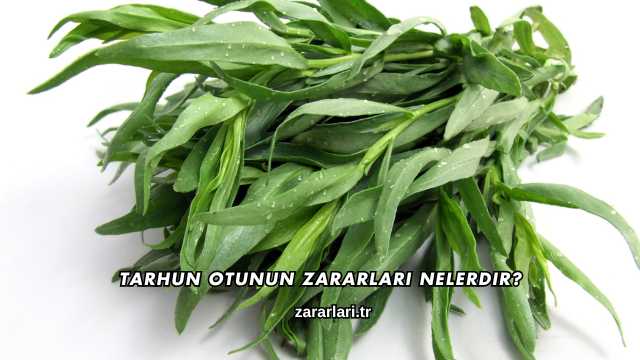 Tarhun Otunun Zararları Nelerdir?