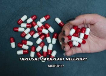 Tarlusal Zararları Nelerdir?