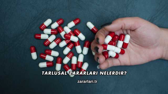 Tarlusal Zararları Nelerdir?