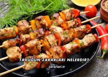 Tavuğun Zararları Nelerdir?