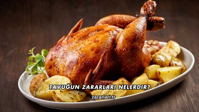 Tavuğun Zararları Nelerdir?