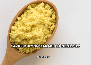 Tavuk Bulyon Zararları Nelerdir?