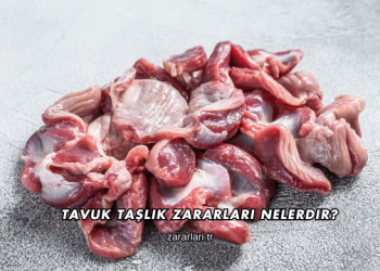 Tavuk Taşlık Zararları Nelerdir?